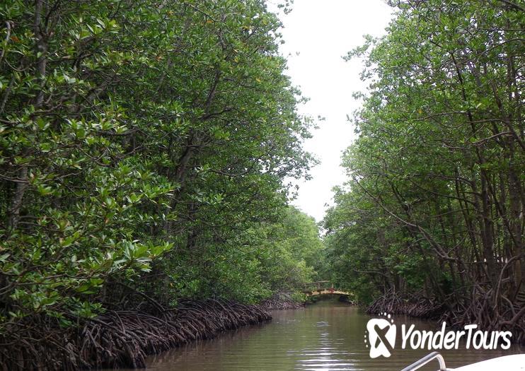 Can Gio Mangrove Biosphere Reserve