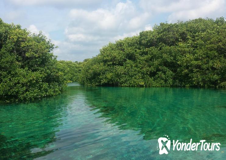 Casa Cenote Casa Cenote