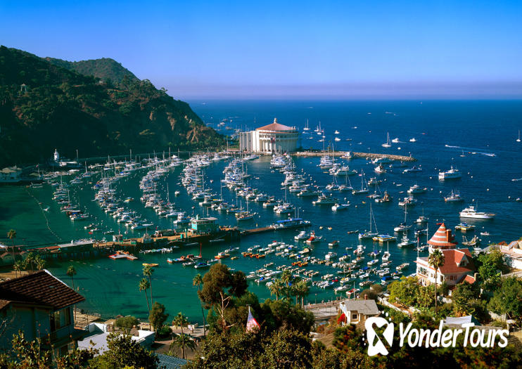 Catalina Island Catalina Island