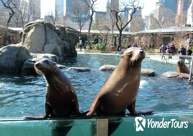 Central Park Zoo Central Park Zoo