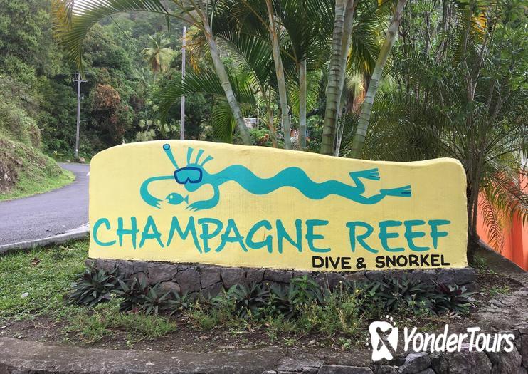 Champagne Reef