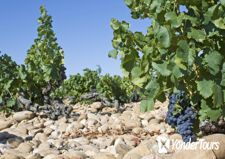 Chateauneuf-du-Pape