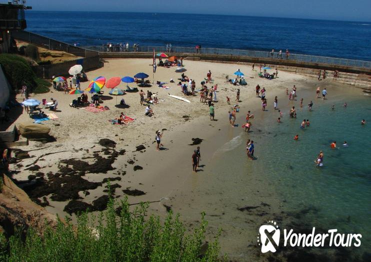 Children's Pool Beach Children's Pool Beach