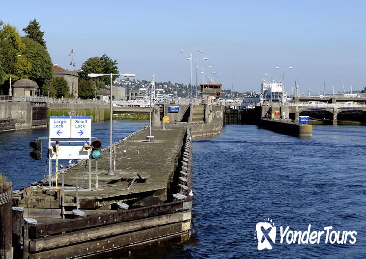 Chittenden Locks & Fish Ladder