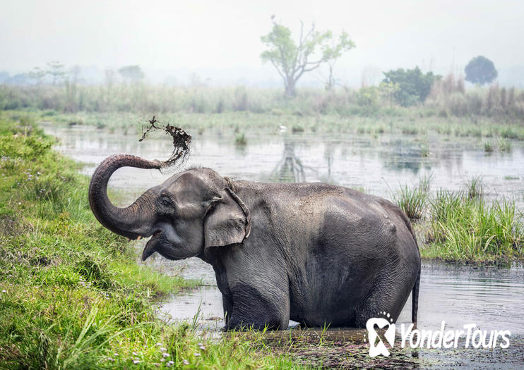 Chitwan National Park Chitwan National Park