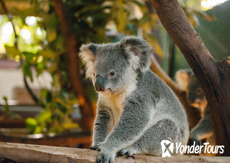 Cleland Wildlife Park Cleland Wildlife Park