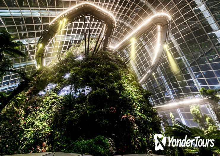 Cloud Forest at Gardens by the Bay Cloud Forest at Gardens by the Bay