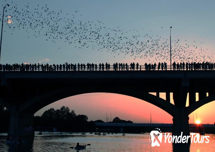 Congress Avenue Bridge Bats Congress Avenue Bridge Bats