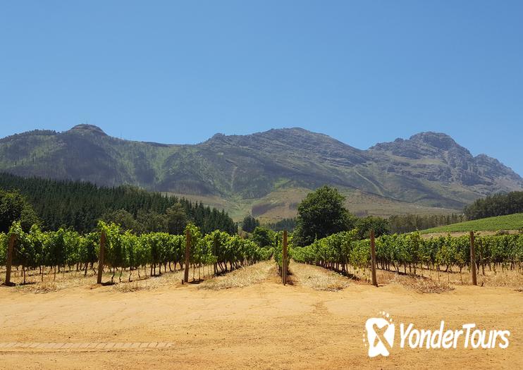 Delheim Wine Estate Delheim Wine Estate