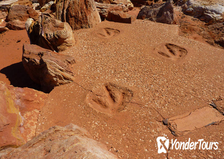 Dinosaur Footprints Dinosaur Footprints