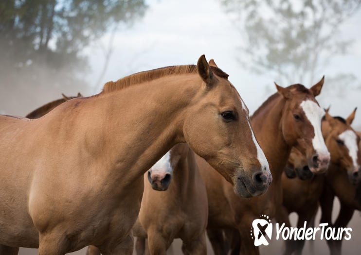 Don Silvano Ranch