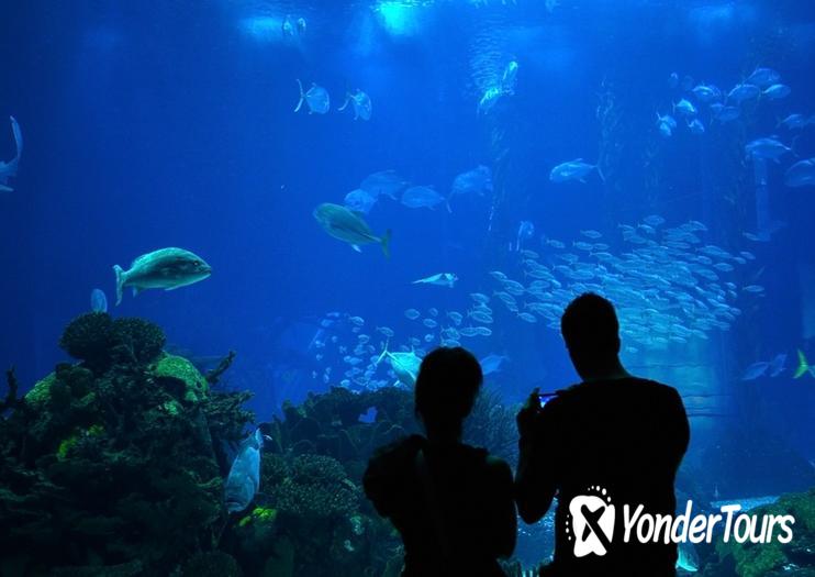 Downtown Aquarium Downtown Aquarium