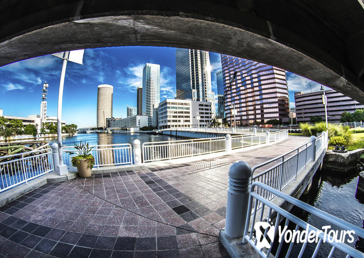 Downtown Tampa 