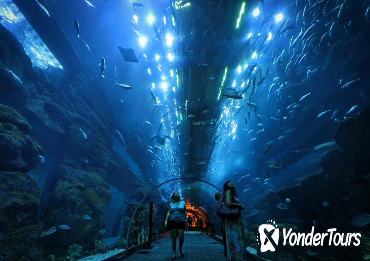 Dubai Aquarium & Underwater Zoo