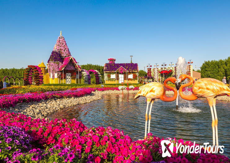 Dubai Miracle Garden