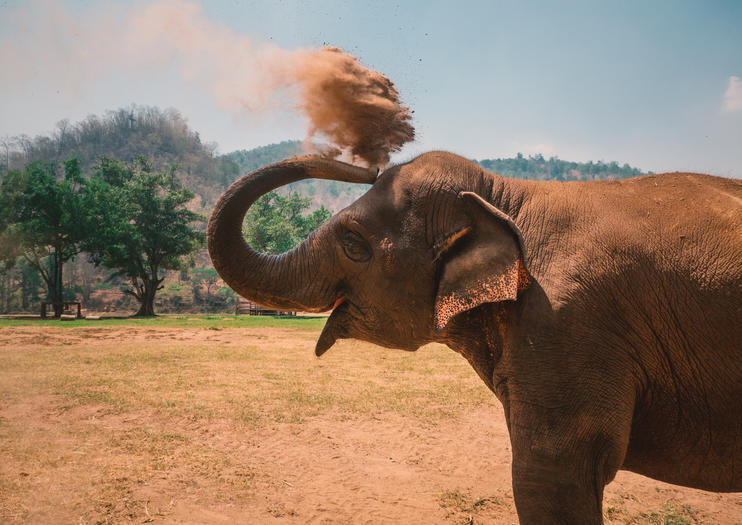 Elephant Nature Park