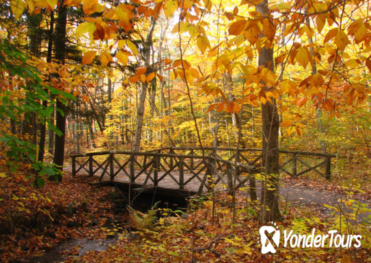 Gatineau Park