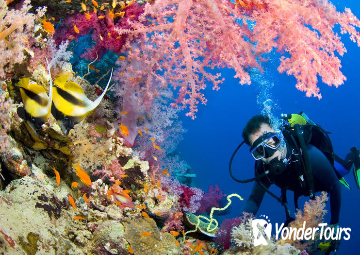 Grand Turk Wall