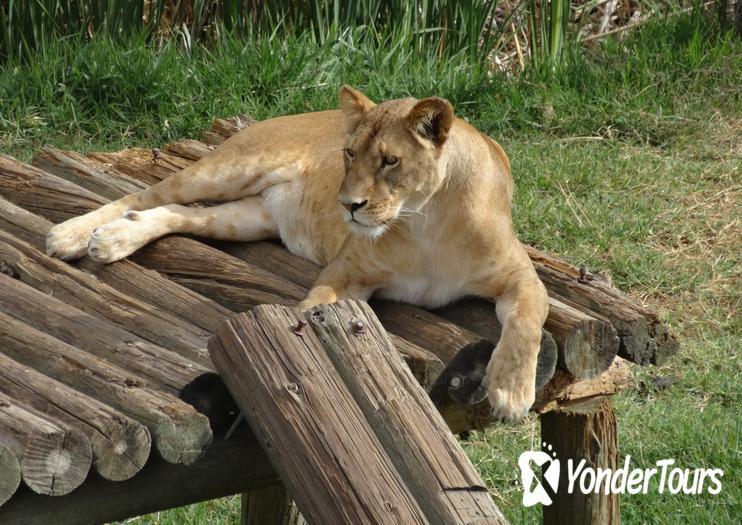 Guadalajara Zoo Guadalajara Zoo
