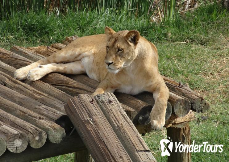 Guadalajara Zoo