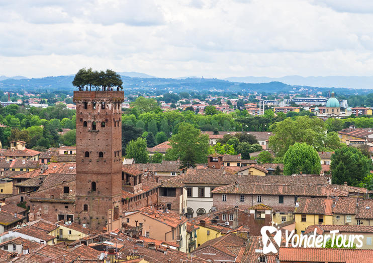 Guinigi Tower Guinigi Tower
