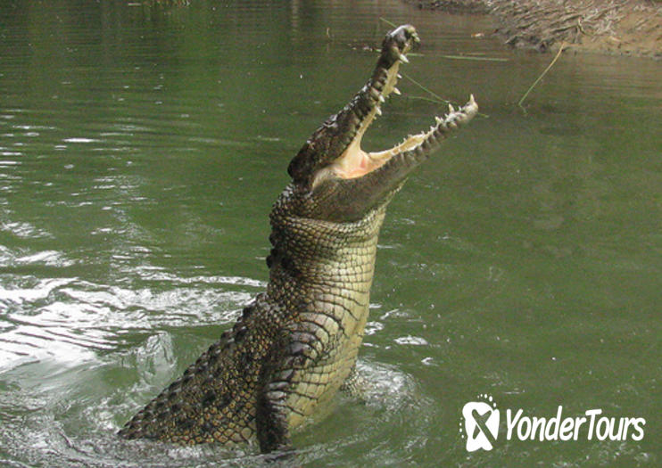 Hartley's Crocodile Adventures
