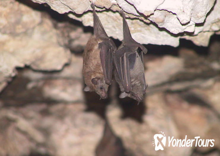 Hato Caves