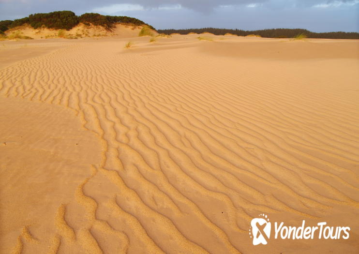 Henty Sand Dunes