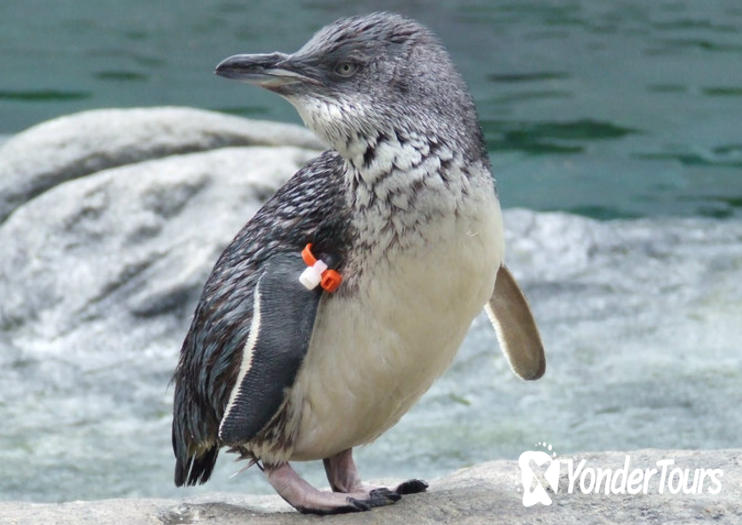 International Antarctic Centre