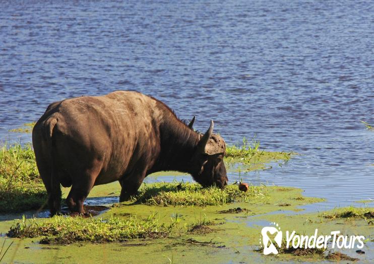 iSimangaliso Wetland Park