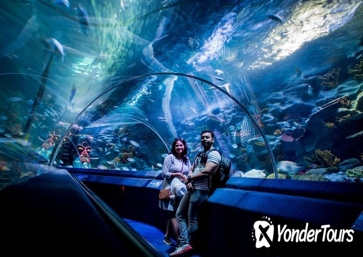 Istanbul Sea Life Aquarium