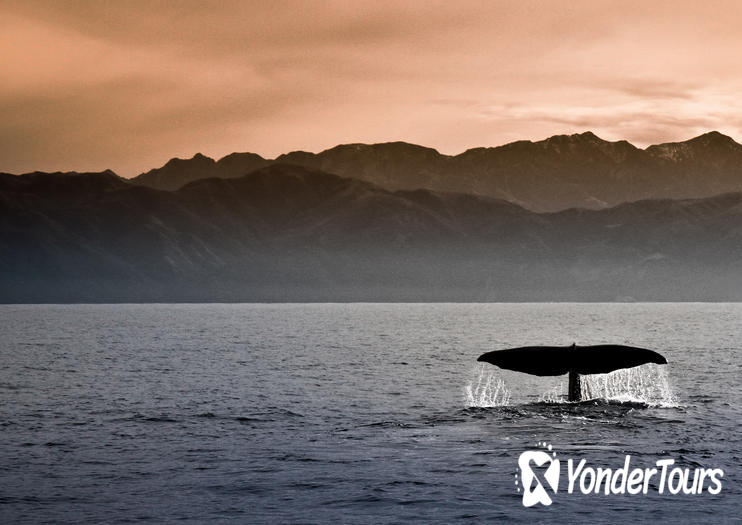 Kaikoura Kaikoura