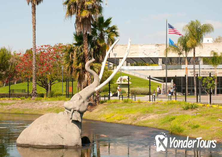 La Brea Tar Pits