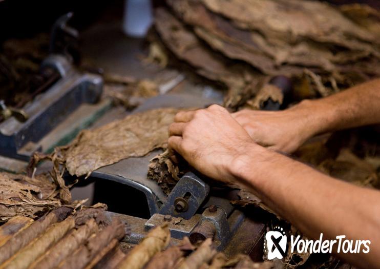 La Flor Dominicana Cigar Factory