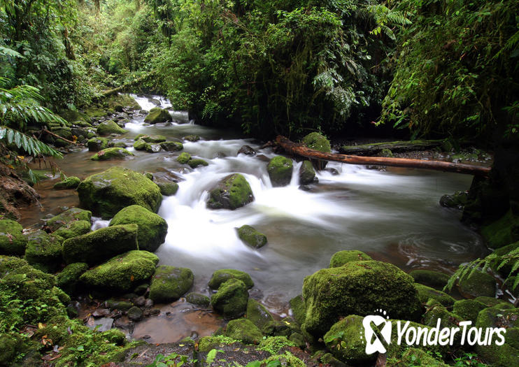 La Fortuna La Fortuna