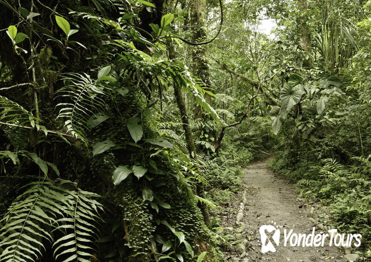 La Senda Verde La Senda Verde