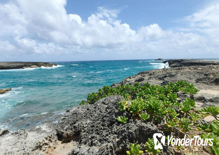 Laie Point State Wayside Park