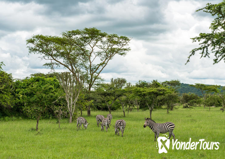 Lake Mburo National Park