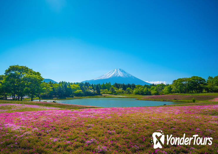 Lake Motosu