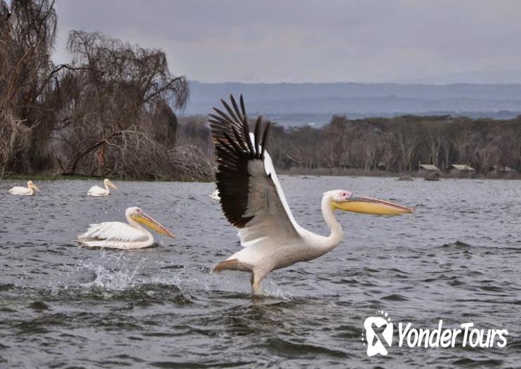 Lake Naivasha