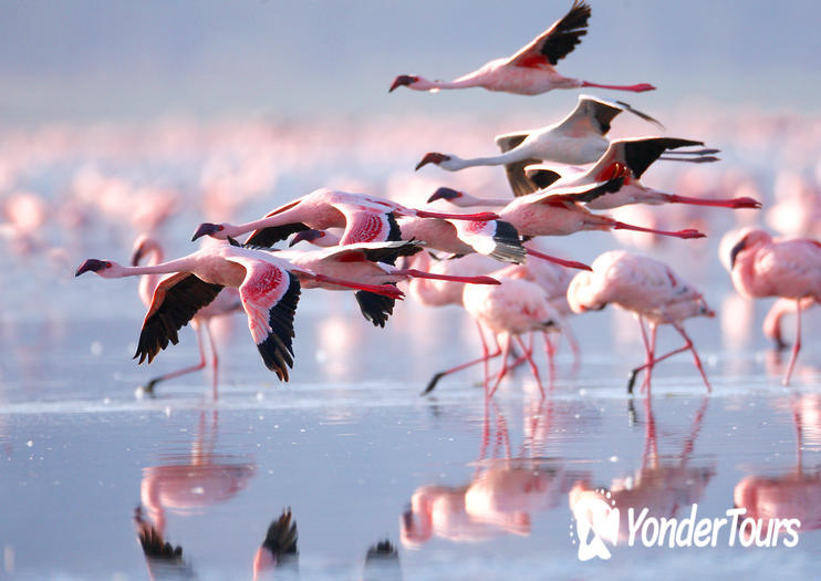 Lake Nakuru National Park