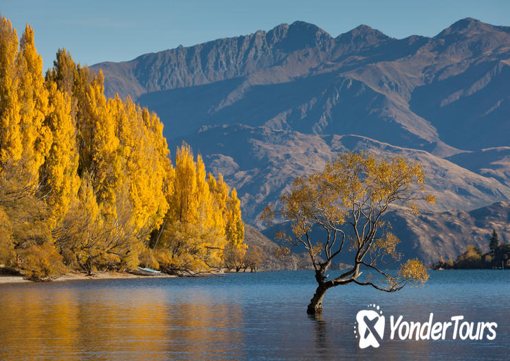 Lake Wanaka