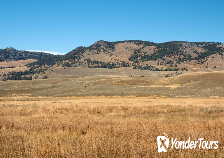 Lamar Valley