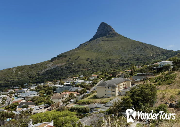 Lion's Head Lion's Head