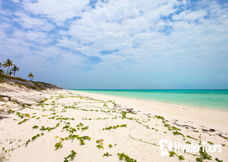 Little Water Cay (Iguana Island) Little Water Cay (Iguana Island)