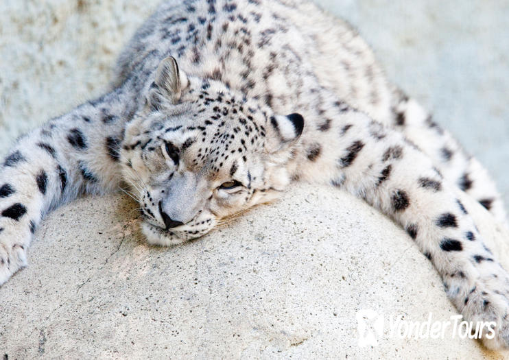 Los Angeles Zoo