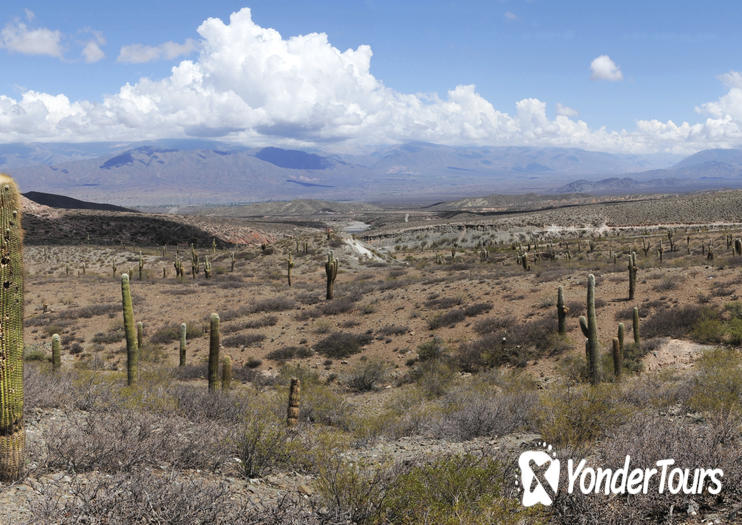 Los Cardones National Park Los Cardones National Park