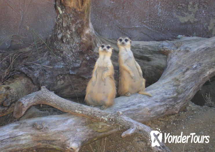 Lowry Park Zoo Lowry Park Zoo