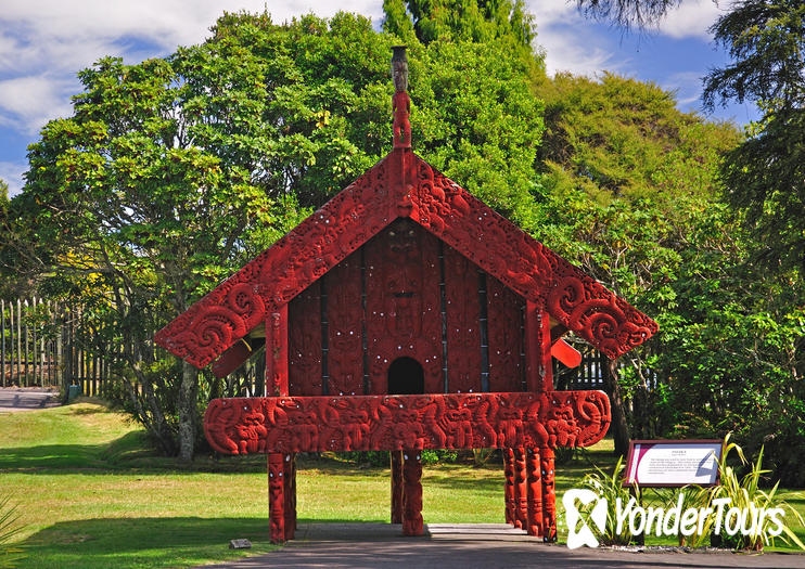 Maori Arts and Crafts Institute (Te Puia)