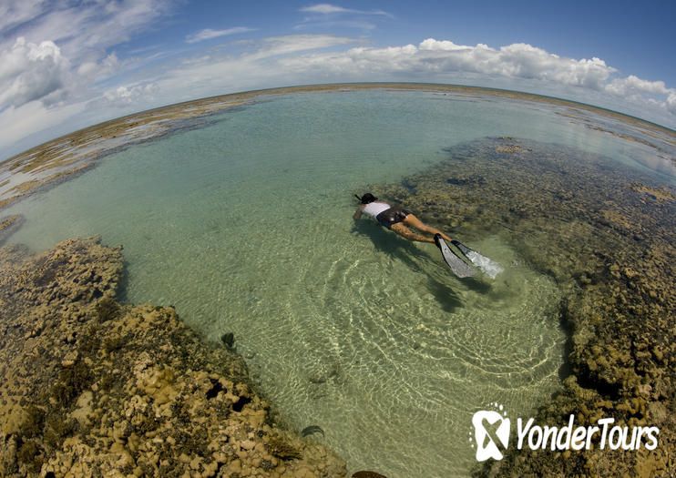 Maracajau Reef (Parrachos de Maracajau) Maracajau Reef (Parrachos de Maracajau)